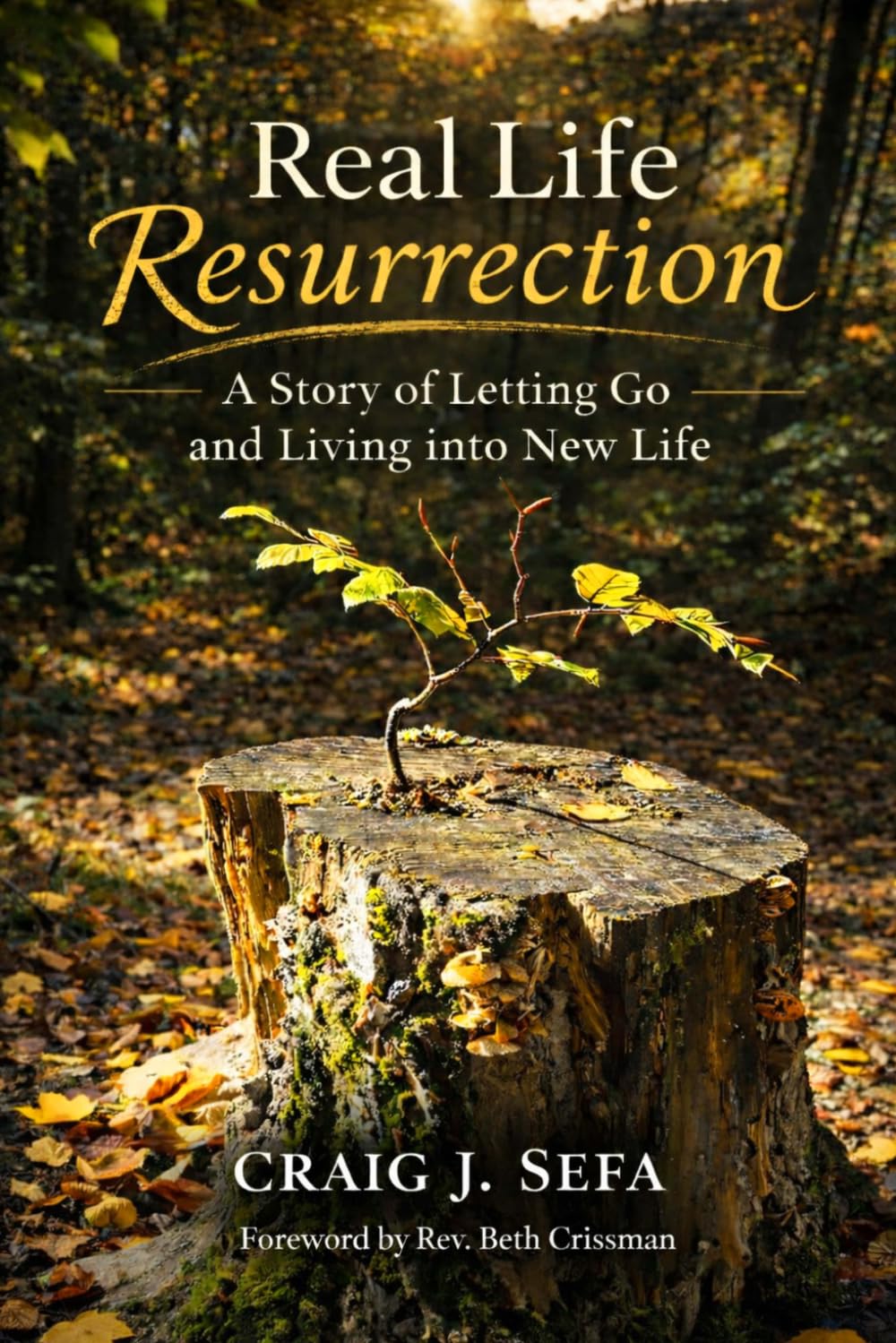 Real Life Resurrection by Craig Sefa