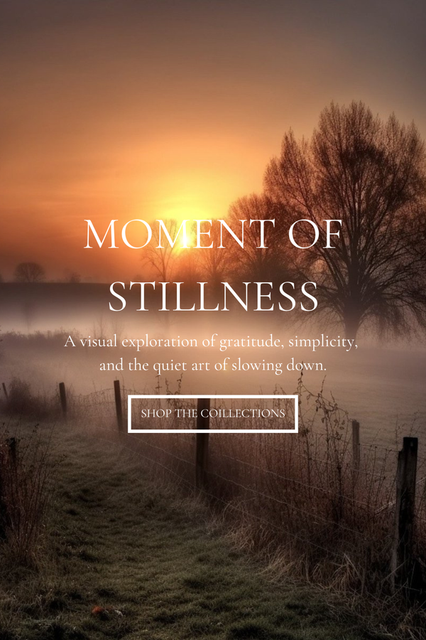 Moment of Stillness