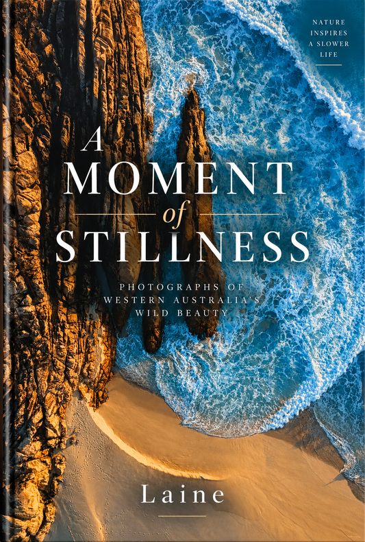 A Moment of Stillness by Laine